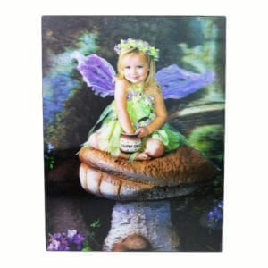 Fairy - Legendary creature