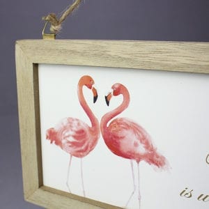 Birds - Flamingo
