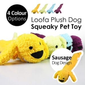 squeaky toy