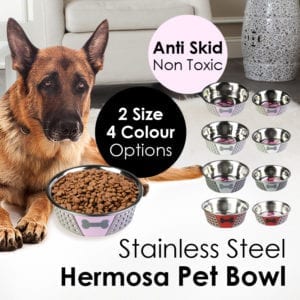 pet bowl