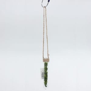 Plants - Pendant