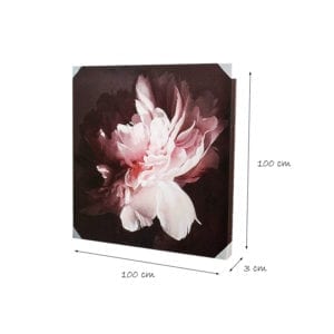 Flowering plant - Peony