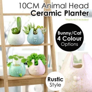 Cute Animal Head Rustic Ceramic Planter