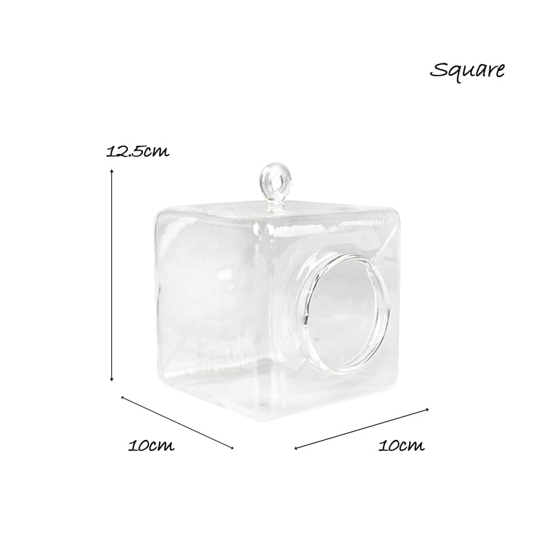 DIY Hanging Glass Vase Square House Planter-7