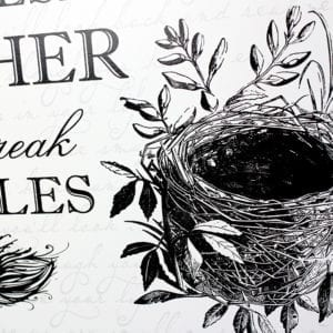 Birds - Sedge warbler