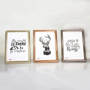 Picture frame - Photograph