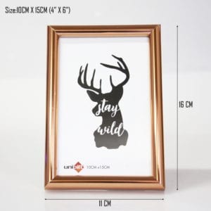 White-tailed deer - Deer