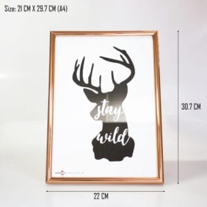 Deer - White-tailed deer