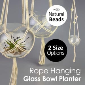 Rope Hanging Glass Bowl Planter