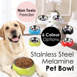 pet bowl