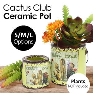 Plants - Flowerpot