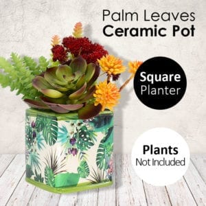 Flowerpot - Garden