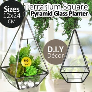 Terrarium Square Pyramid DIY Glass Planter