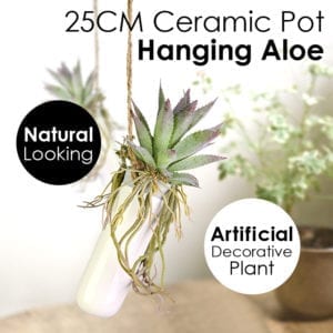 Hanging Realistic Aloe Ceramic Pot