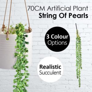 plant pearl string
