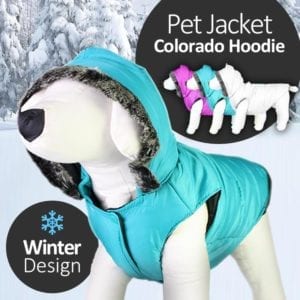 pet winter jacket