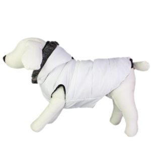 pet winter jacket
