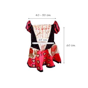 queen of hearts custome